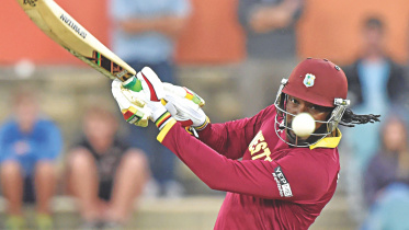 gayle_6.jpg