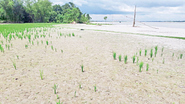recent-flood.jpg