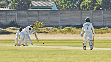 cricket.jpg