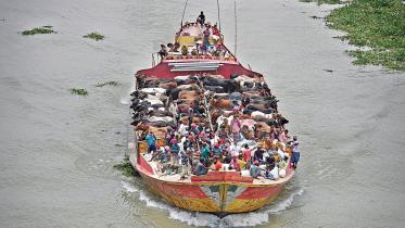boat.jpg
