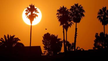 warm-nights-climate-change.jpg