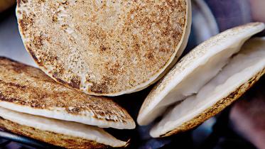 pitha.jpg