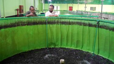 fish-factory-sreepur.jpg