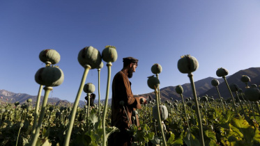 afghan.jpg