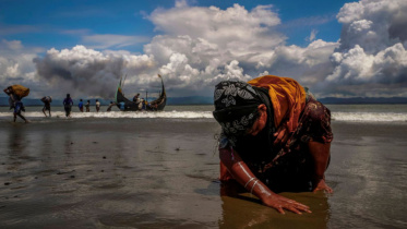 rohingya_crisis_50.jpg