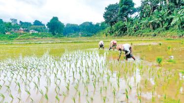 agricultural-extension.jpg