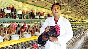 chicken.jpg