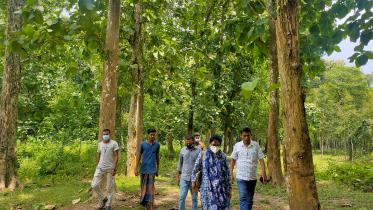 moulvibazar.jpg
