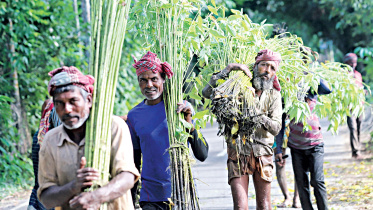 textile-and-jute.jpg