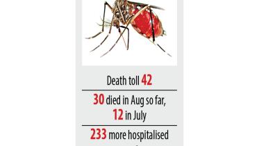 dengue.jpg