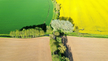 food-systems-stability.jpg