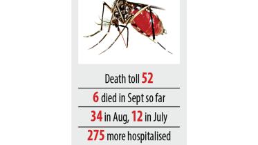dengue.jpg