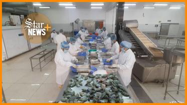 star_news_thumbnail_shrimp_sept_11_for_web.jpg