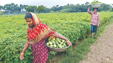 sustainable-global-food-system.jpg