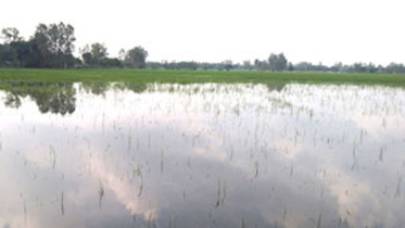 tentulia-upazila-panchagarh.jpg