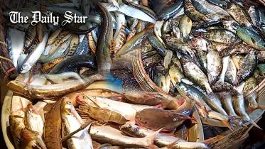star_news_thumbnail_sep_18_for_web.jpg