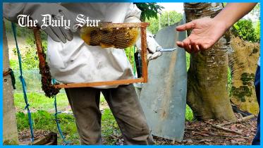honey_moulvibazar_sept_23_for_web.jpg
