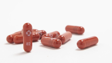 merck.jpeg