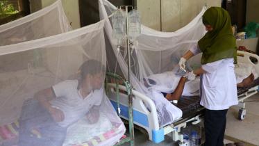 dengue-1_2_0.jpg