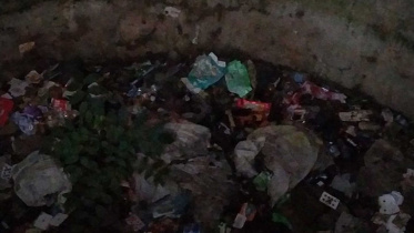 rajbari-municipality-mosquito.jpg
