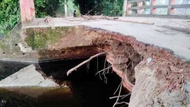 bridge.jpg