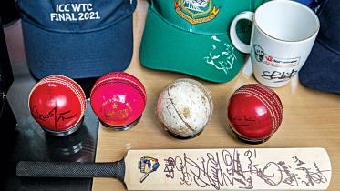 cricket1.jpg