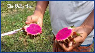 thumbnail-web.jpg
