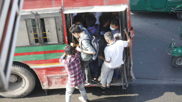 bus-web.jpg