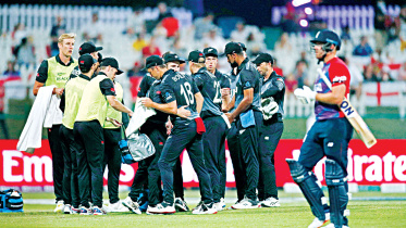new-zealand.jpg
