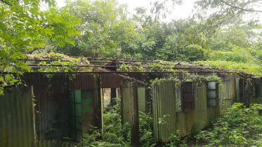 patuakhali.jpg