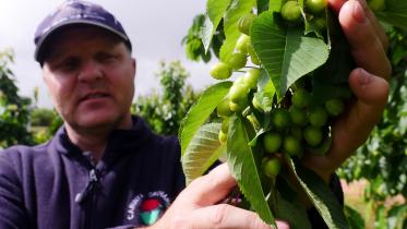 australian-fruit-farmers.jpg