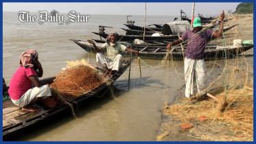 nets-web.jpg