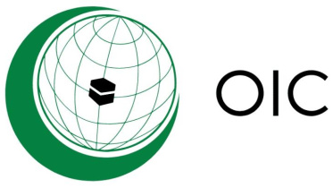 oic.jpg
