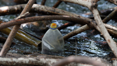plastic_0.jpg