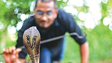 snake-rescuers.jpg
