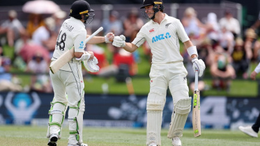 kiwi_openers.jpg