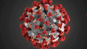 corona-web.jpg