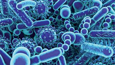 buffalo-yoghurt-bacteria.jpg