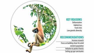gibbons-edited.jpg