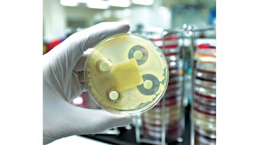 antibiotic-resistant-bacterial-infections.jpg