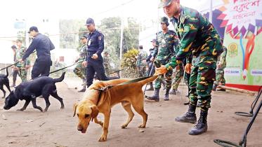 dog-squad.jpg