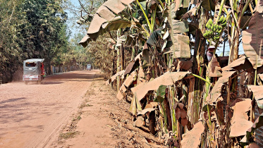 thakurgaon.jpg