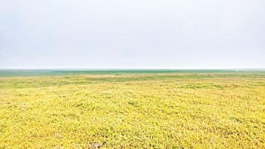 farmers-of-kawadighi.jpg