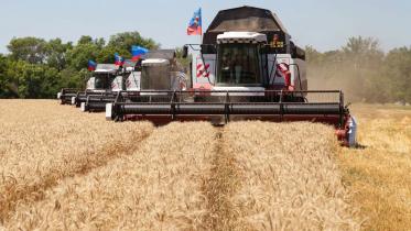 wheat-price.jpg