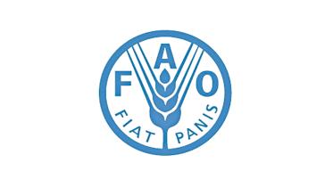 fao.jpg