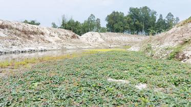 thakurgaons-suk-river.jpg