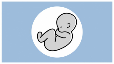new_born_baby.jpg
