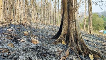 gazipur-and-dulahazra-1.jpg