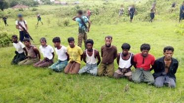 rohingya
