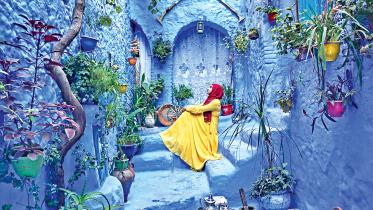nurturing-dreams-1.jpg